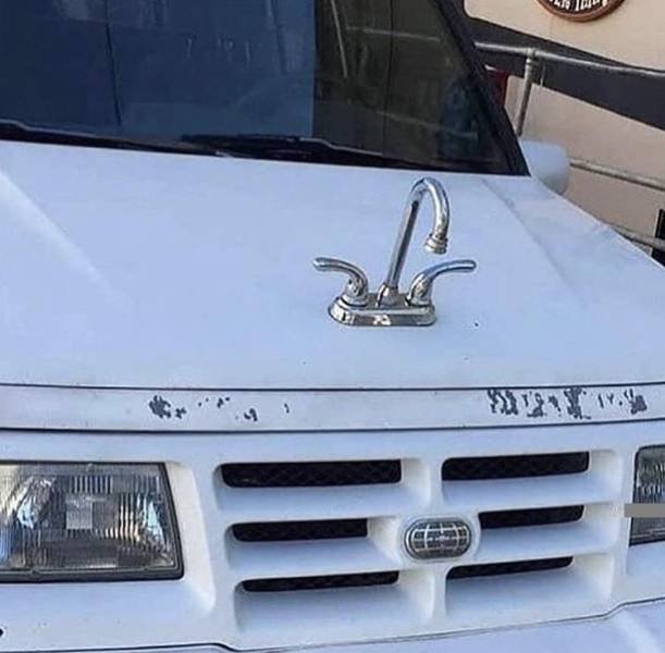 What Is Going On Here? (54 pics)