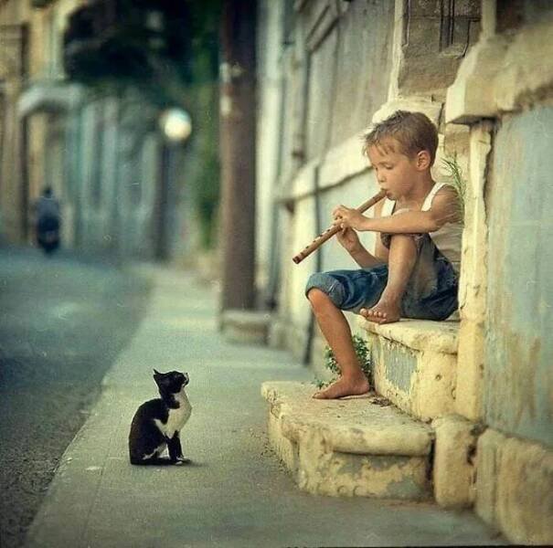 Cute Animals (30 pics)