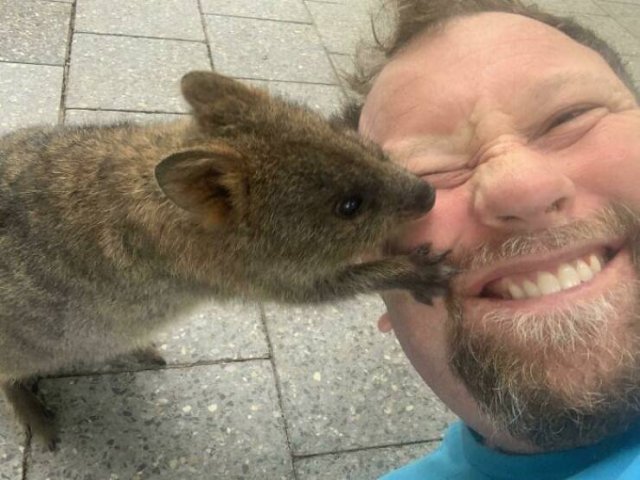 Weird Australia (30 pics)