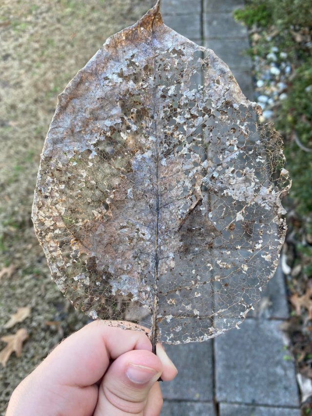 Interesting Finds (14 pics)