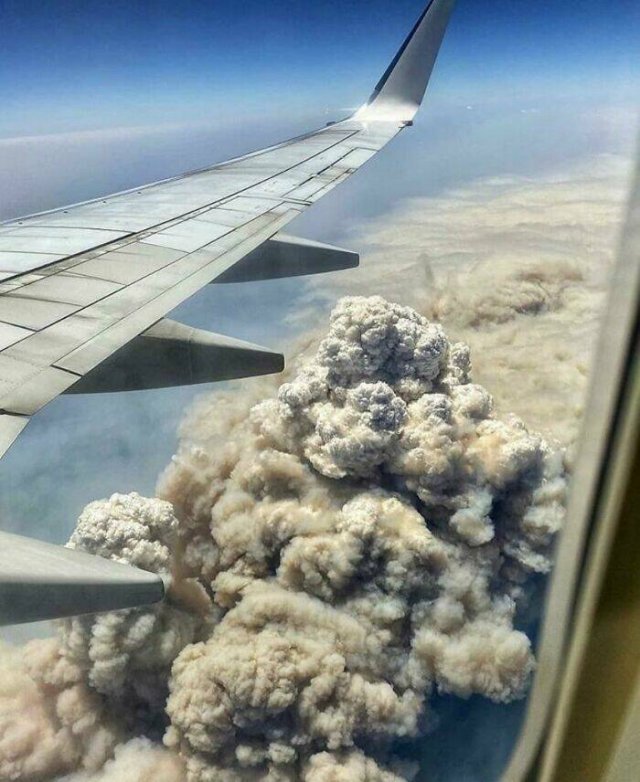 Weird Australia (30 pics)