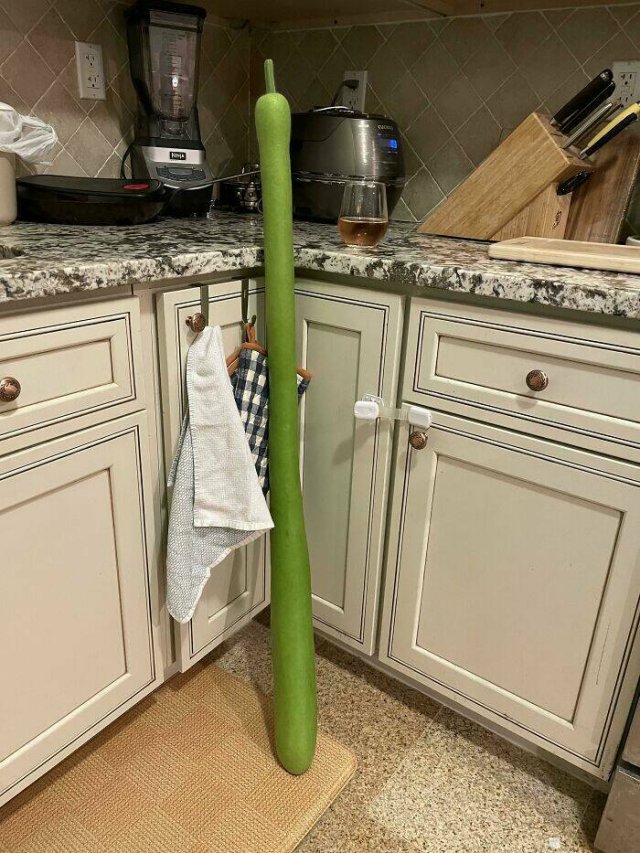 What Are These Things? (44 pics)