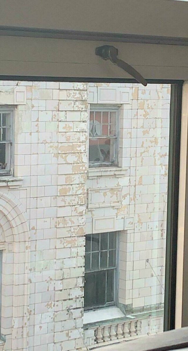 What Are These Things? (44 pics)
