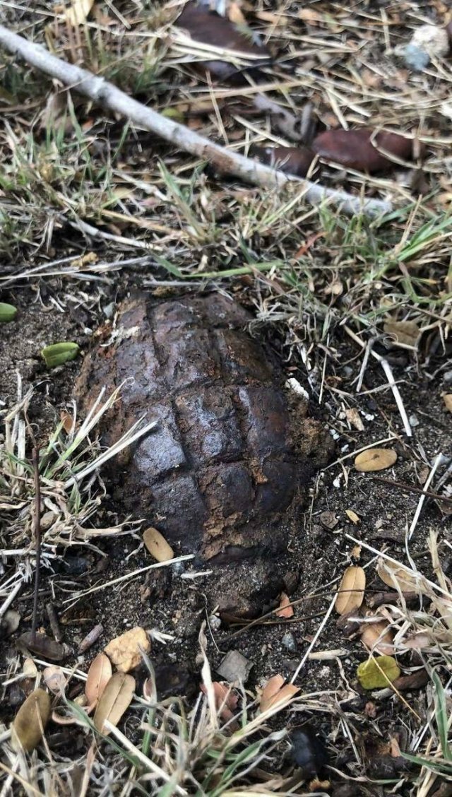 What Are These Things? (44 pics)