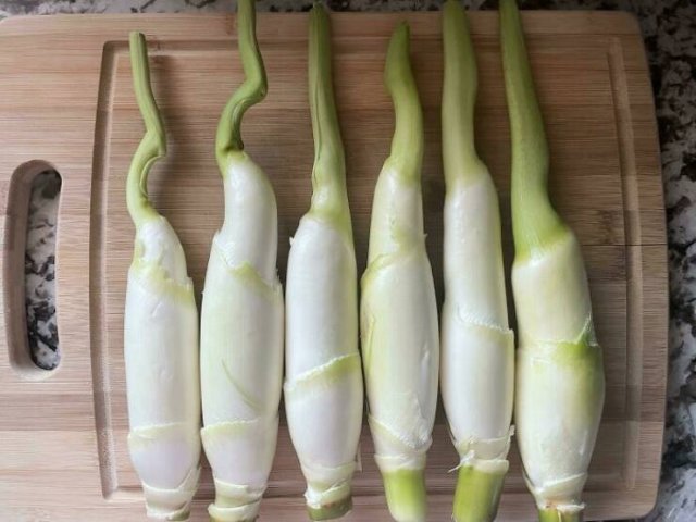 What Are These Things? (44 pics)