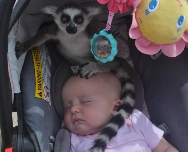 Funny Family Photos (30 pics) Funny Family Photos (30 pics)
