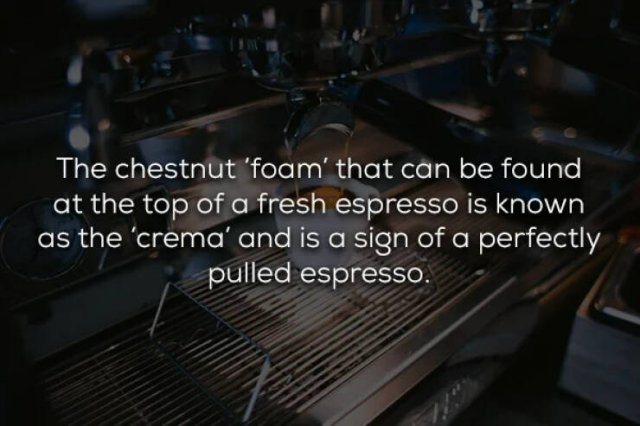 Interesting Facts About Espresso (17 pics)