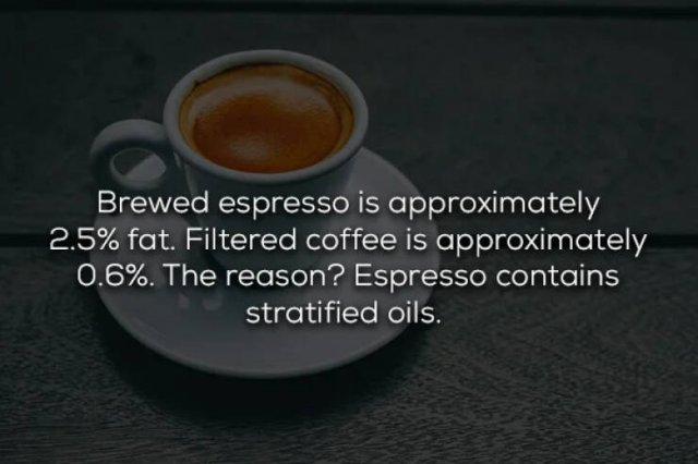 Interesting Facts About Espresso (17 pics)