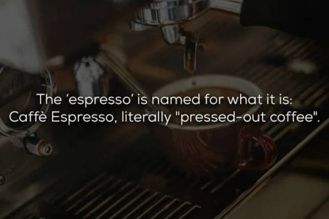 Interesting Facts About Espresso (17 pics)