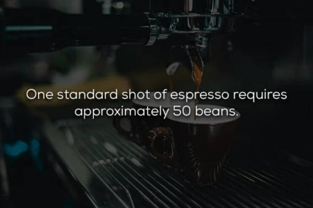 Interesting Facts About Espresso (17 pics)