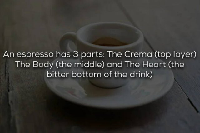 Interesting Facts About Espresso (17 pics)