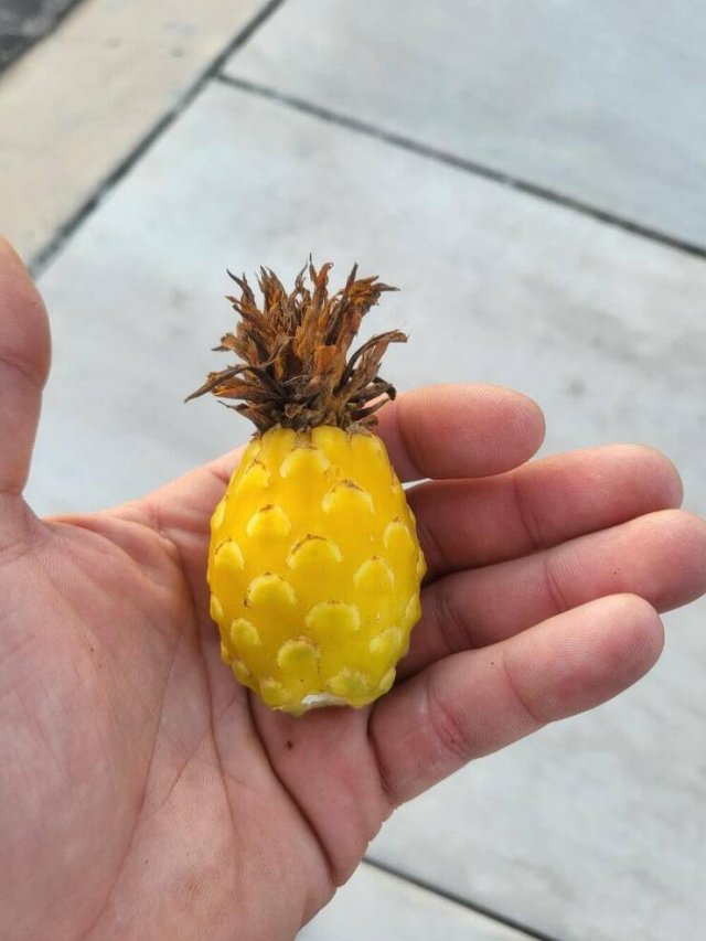 Cool Finds (25 pics)
