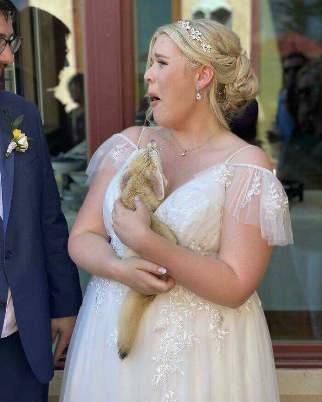 Weird And Funny Wedding Photos (40 pics)