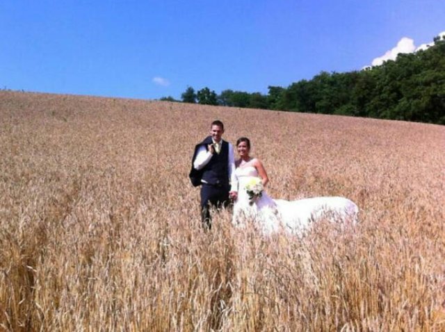 Weird And Funny Wedding Photos (40 pics)
