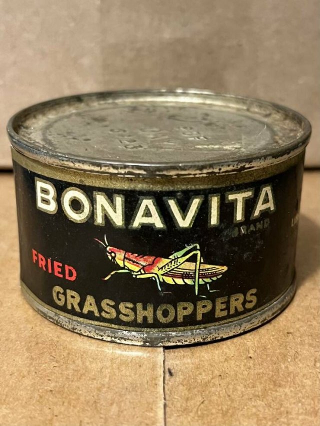 Cool Finds (25 pics)