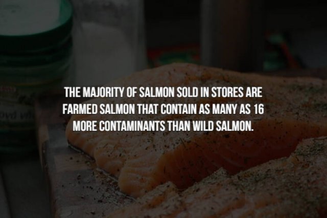 Creepy Food Facts (14 pics)