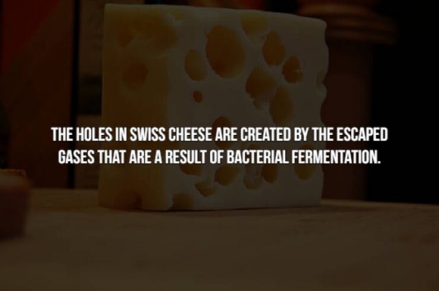 Creepy Food Facts (14 pics)