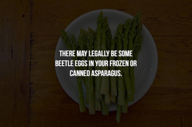 Creepy Food Facts (14 pics)