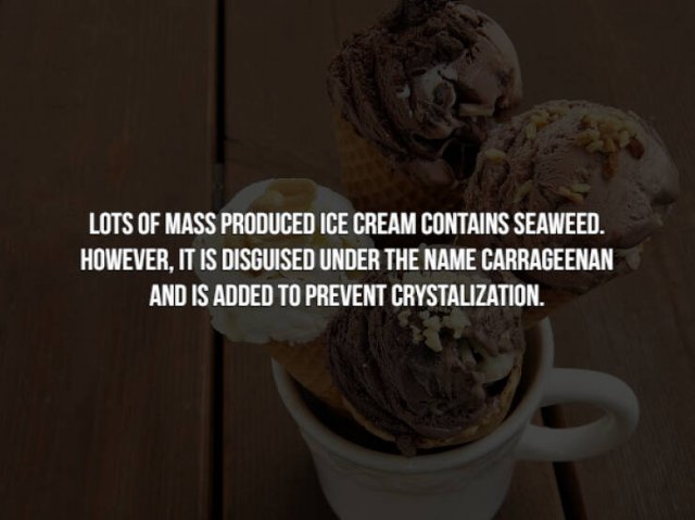 Creepy Food Facts (14 pics)