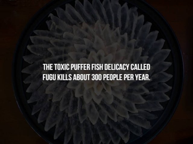 Creepy Food Facts (14 pics)