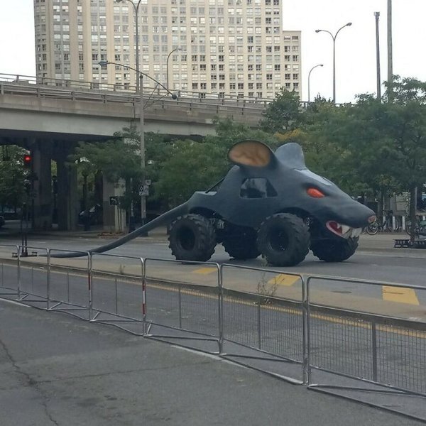 Crazy Cars (31 pics)
