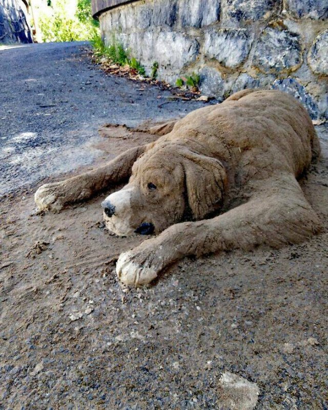 Awesome Sand Sculptures (25 pics)