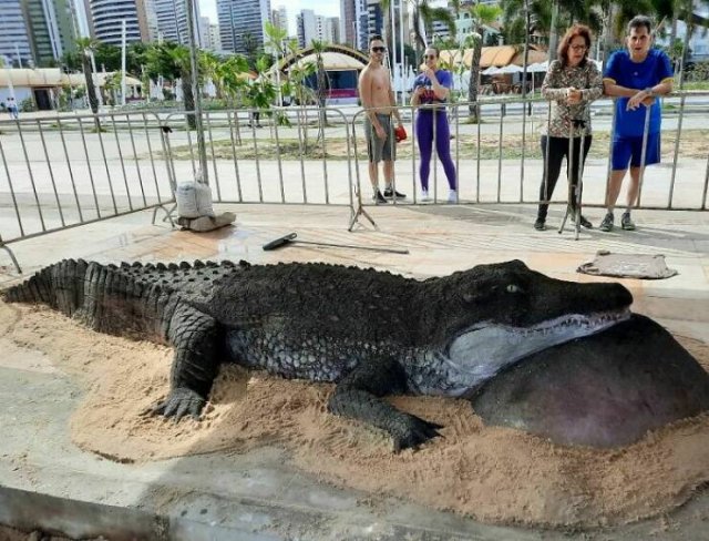 Awesome Sand Sculptures (25 pics)
