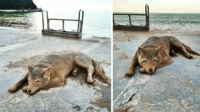 Awesome Sand Sculptures (25 pics)