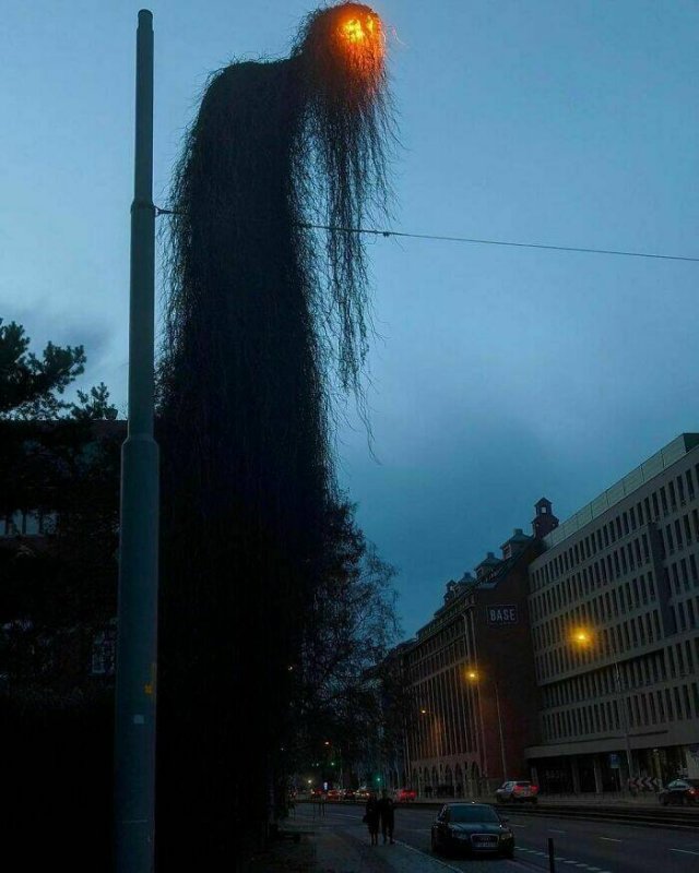 Brutal Buildings (30 pics)