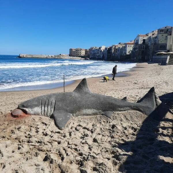 Awesome Sand Sculptures (25 pics)