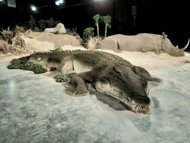 Awesome Sand Sculptures (25 pics)