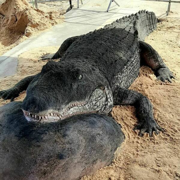 Awesome Sand Sculptures (25 pics)