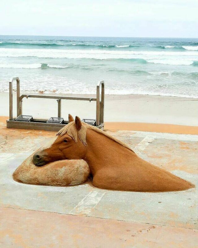 Awesome Sand Sculptures (25 pics)