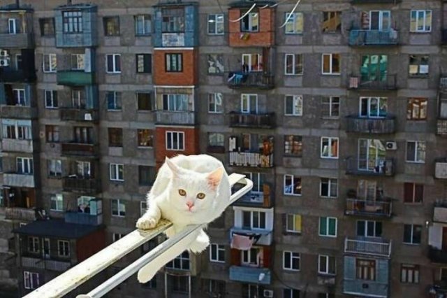 Brutal Buildings (30 pics)