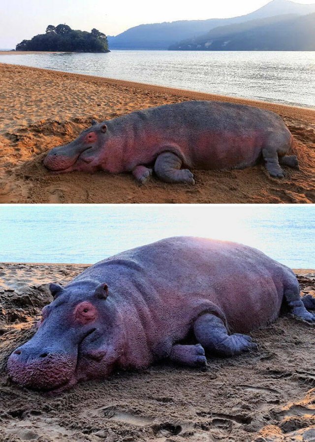 Awesome Sand Sculptures (25 pics)