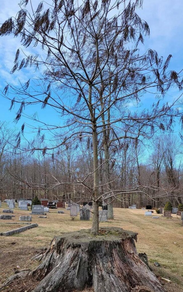 Fascinating Photos (32 pics)