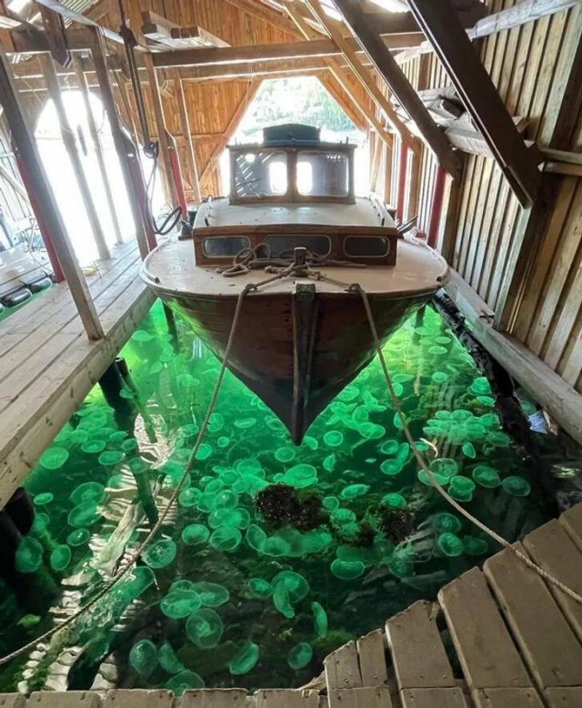 Fascinating Photos (32 pics)