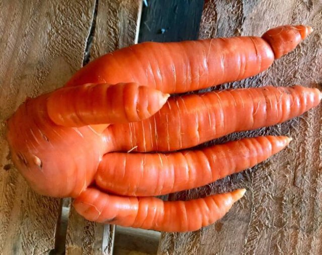 Fascinating Photos (32 pics)