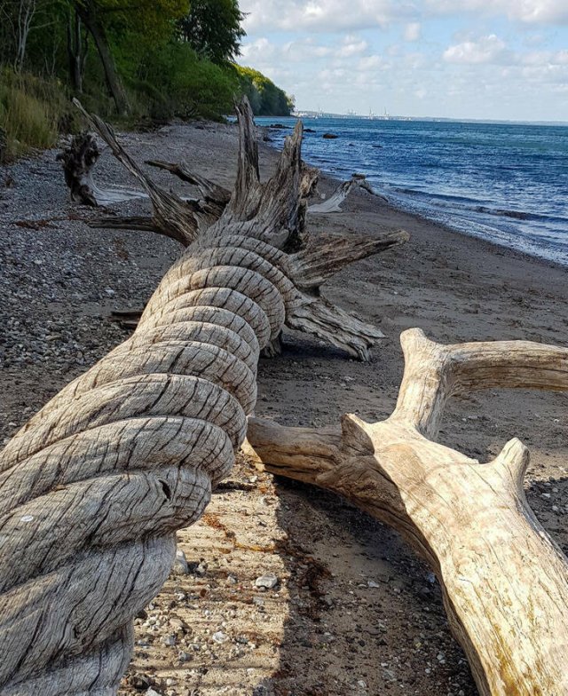 Fascinating Photos (32 pics)
