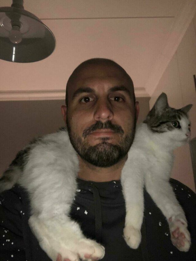 Funny Cats (48 pics)