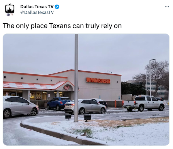 Winter In Texas (15 pics)