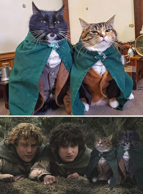 Funny Photoshop (38 pics)