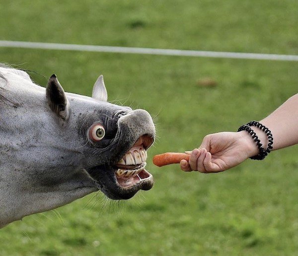 Funny Photoshop (38 pics)