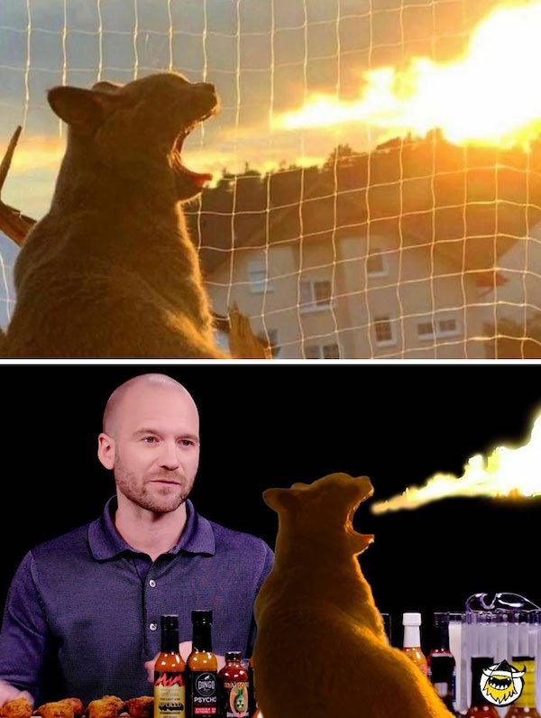 Funny Photoshop (38 pics)