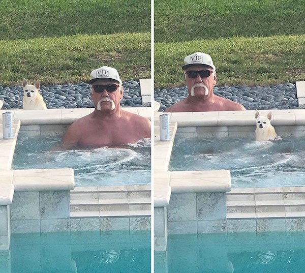Funny Photoshop (38 pics)