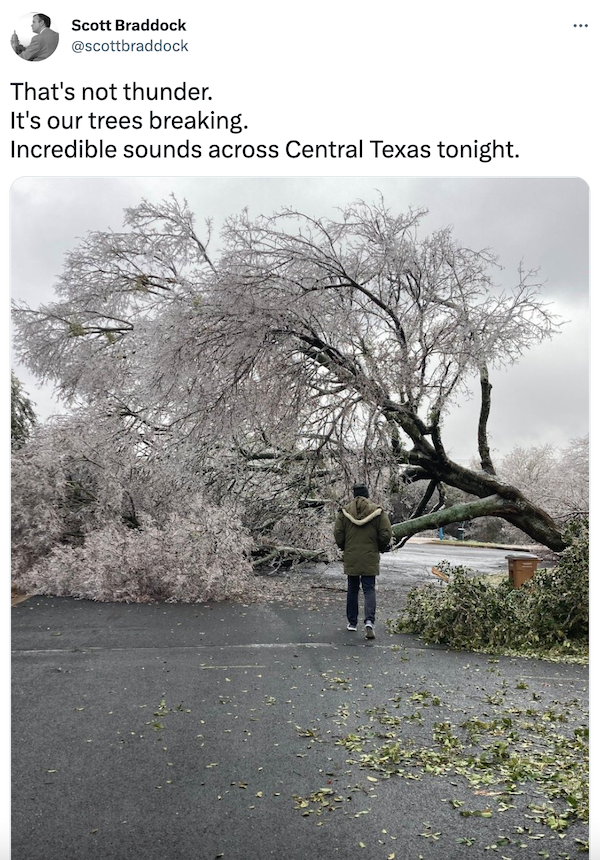 Winter In Texas (15 pics)