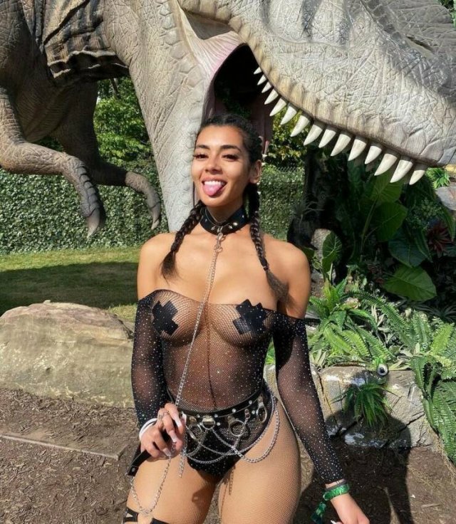 Girls In Fishnets (47 pics)