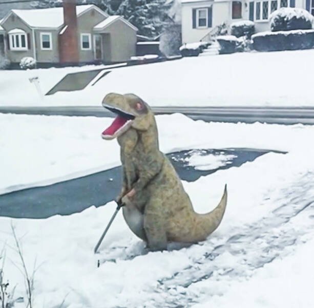 Extraordinary People (16 pics) Extraordinary People (16 pics)