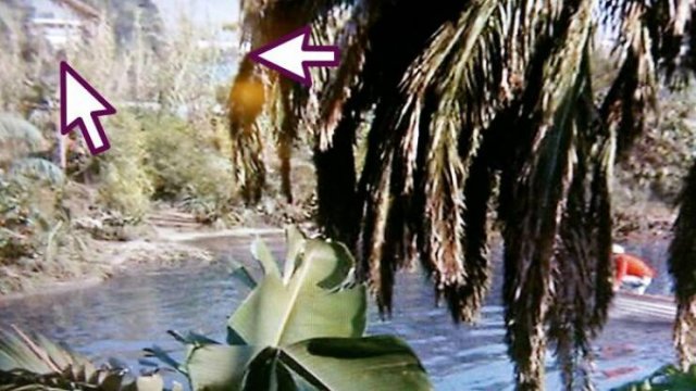 Interesting Movie Mistakes (39 pics)
