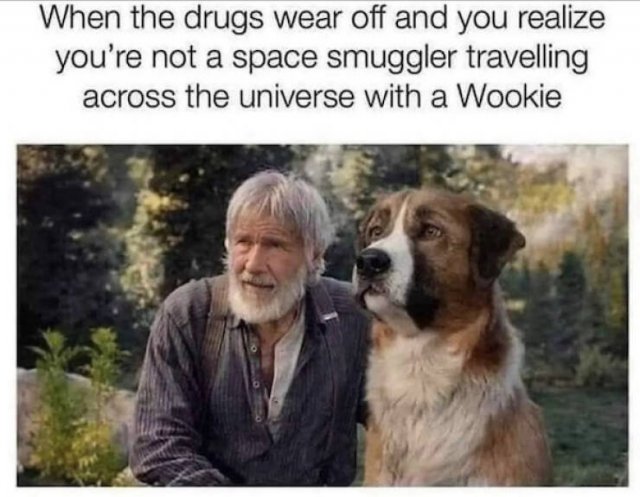 Funny Movie Memes (23 pics)